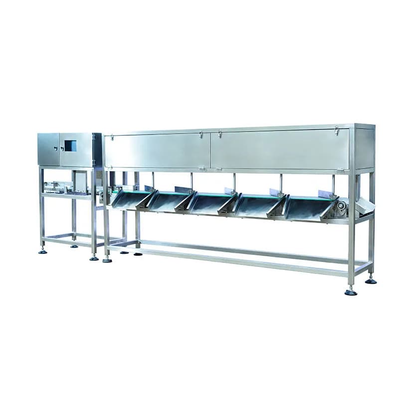Dual-Layer Seafood Weighing and Sorting Machine MQ-CW4523L2-C6 3