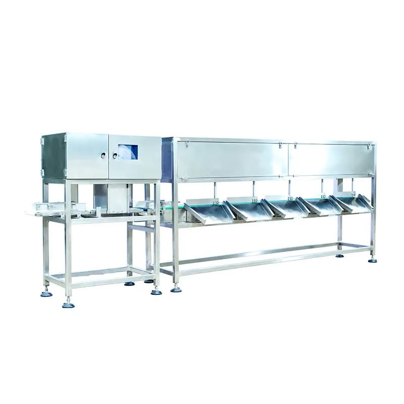 Dual-Layer Seafood Weighing and Sorting Machine MQ-CW4523L2-C6 4