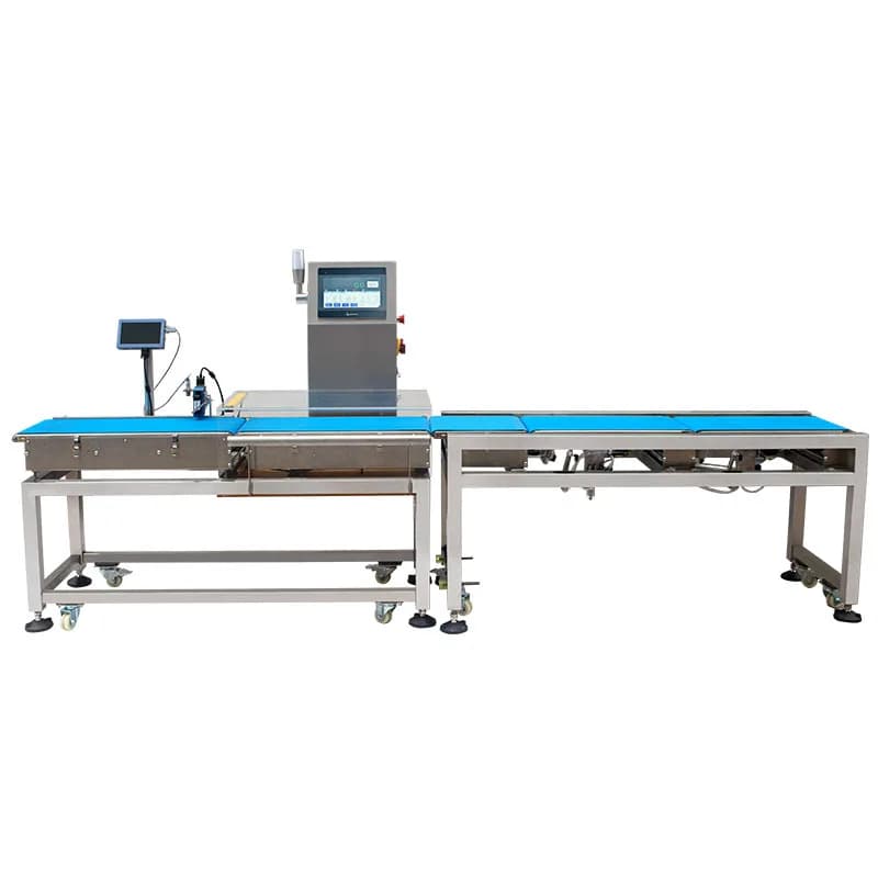 Dynamic Inkjet Coding Checkweigher MQ-DZ06 2