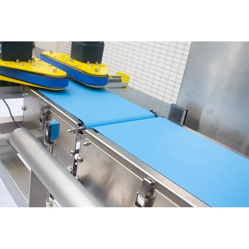 Automatic Bottle-Clamping Checkweigher MQ-DZ09 3