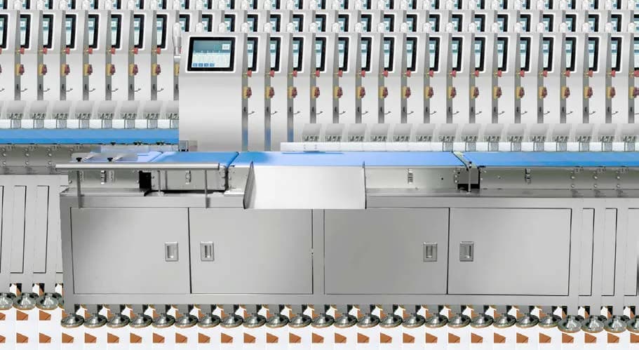 Automatic Weighing and Instant Print-and-Apply Labeling Machine MQ-MLW4530L10 2