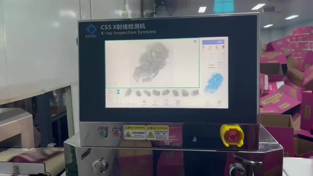 Standard X-Ray Inspection System for Bagged Products MQ-XR 2