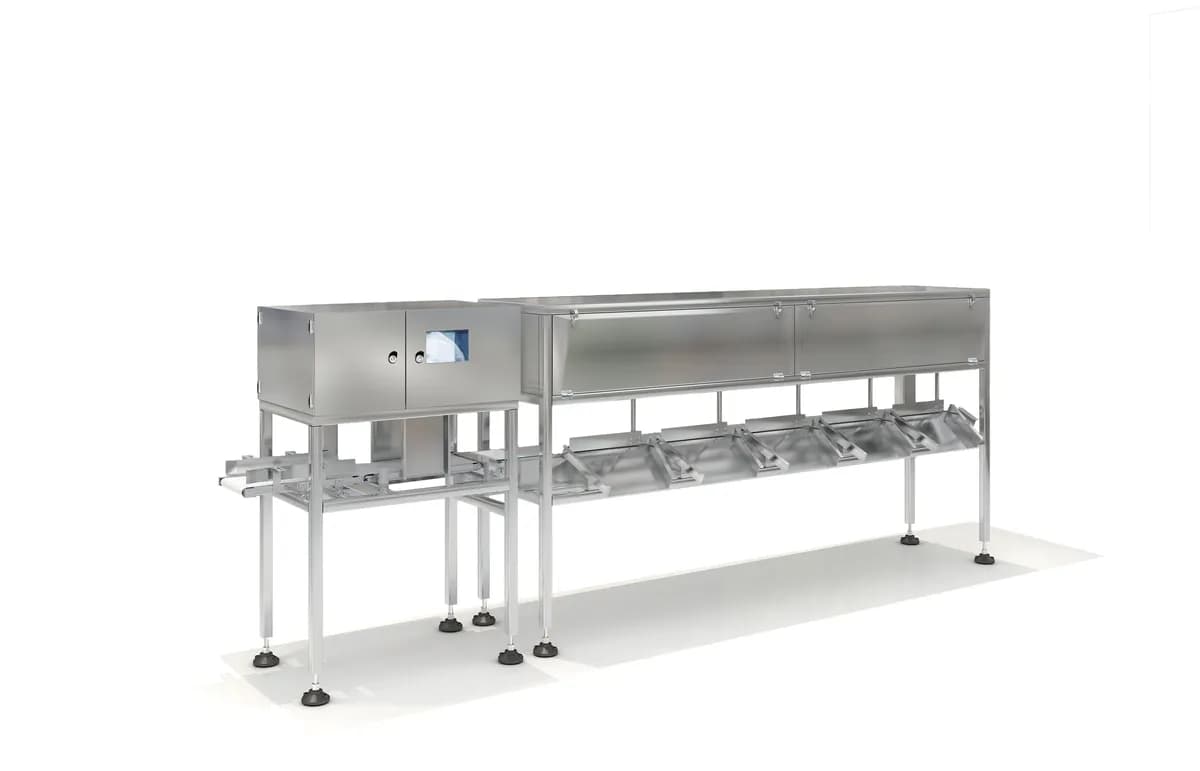 Dual-Layer Seafood Weighing and Sorting Machine MQ-CW4523L2-C6
